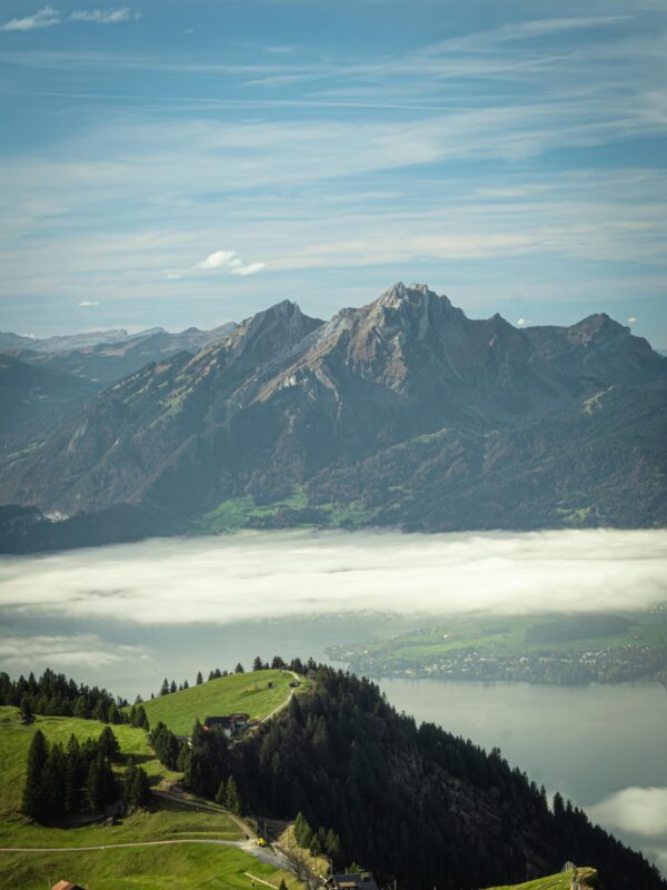 Cuadro paisajístico de montaña