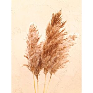 Ramas de hierba de pampas
